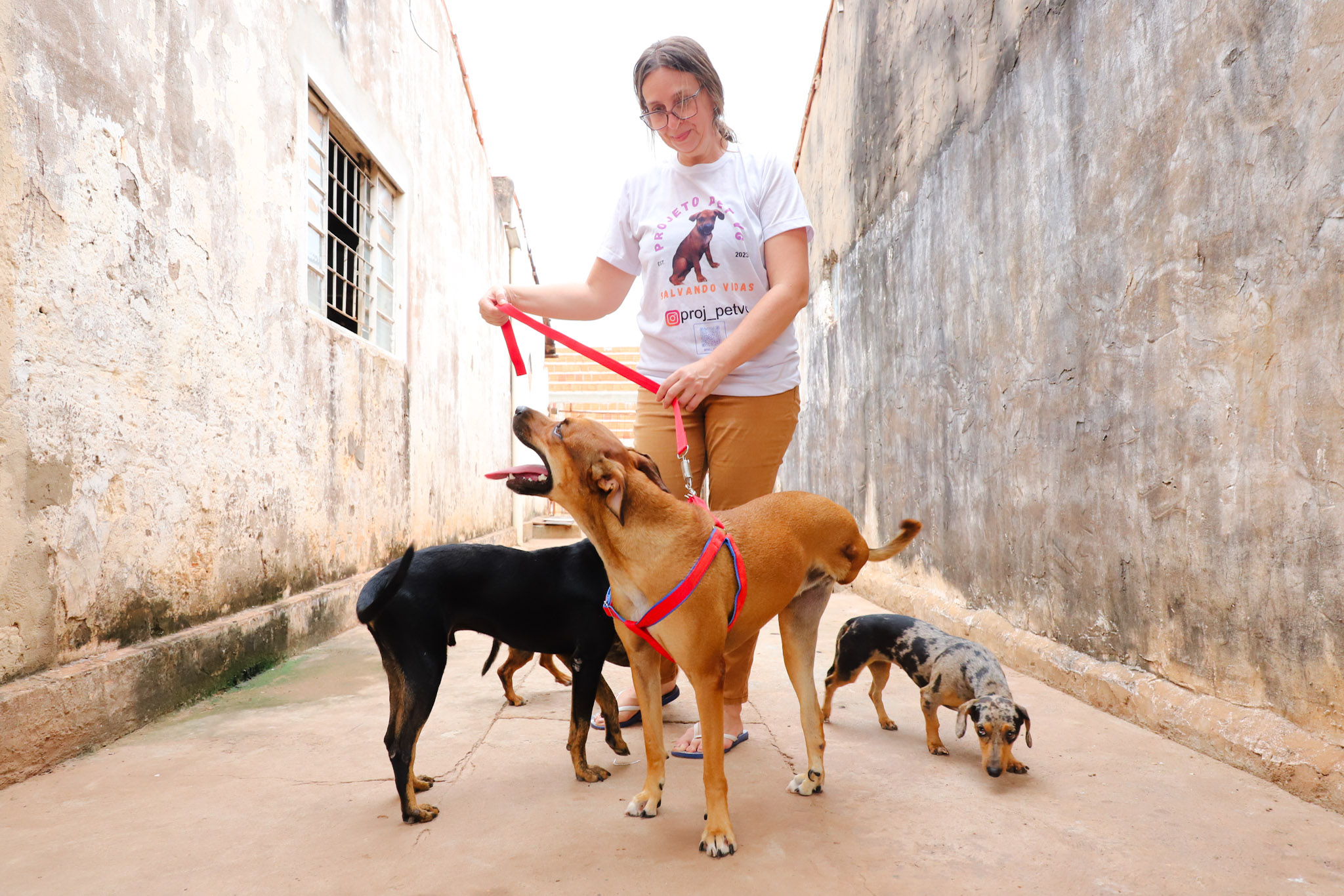 Matheus Guimarães Secom/Vg