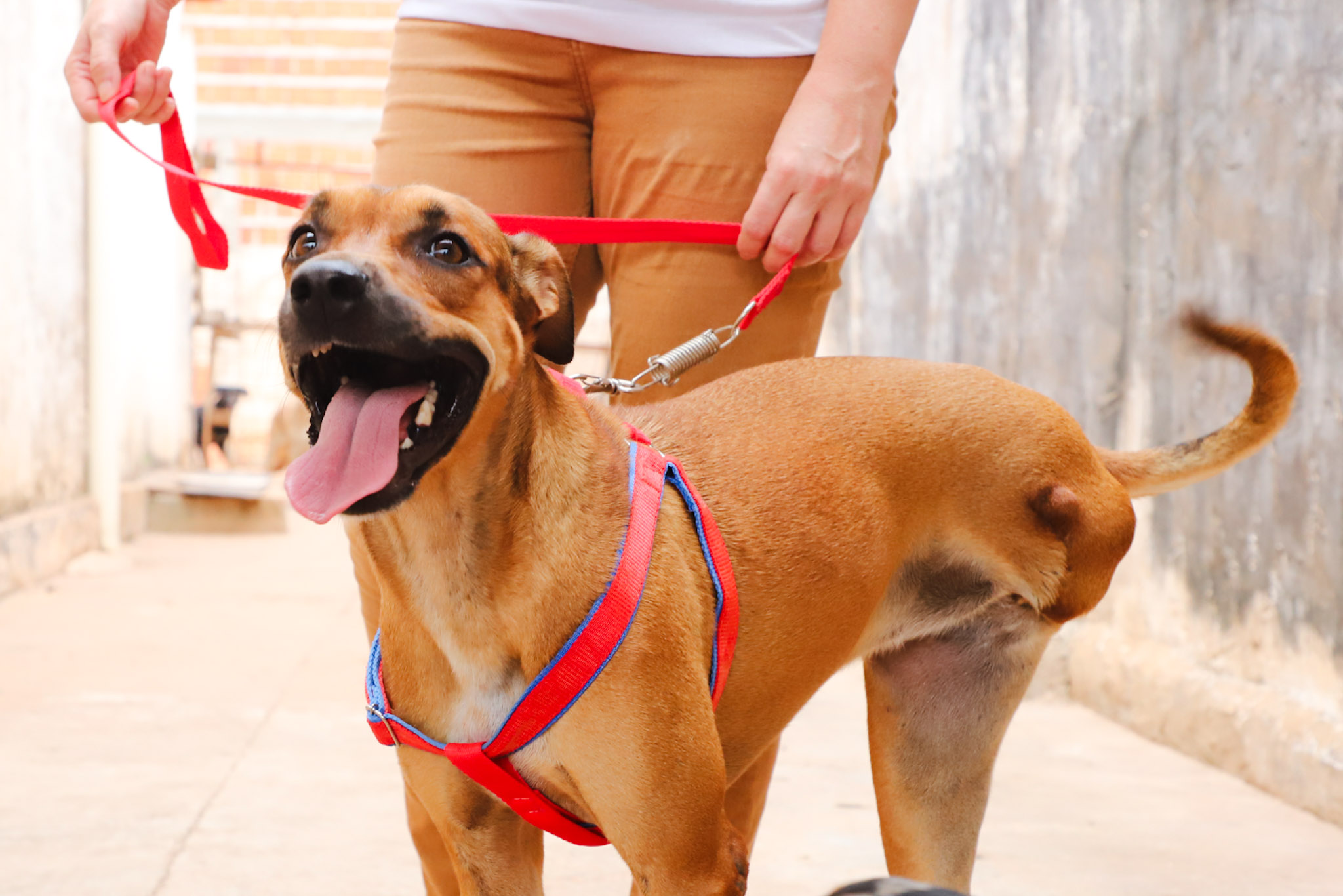 Matheus Guimarães Secom/Vg