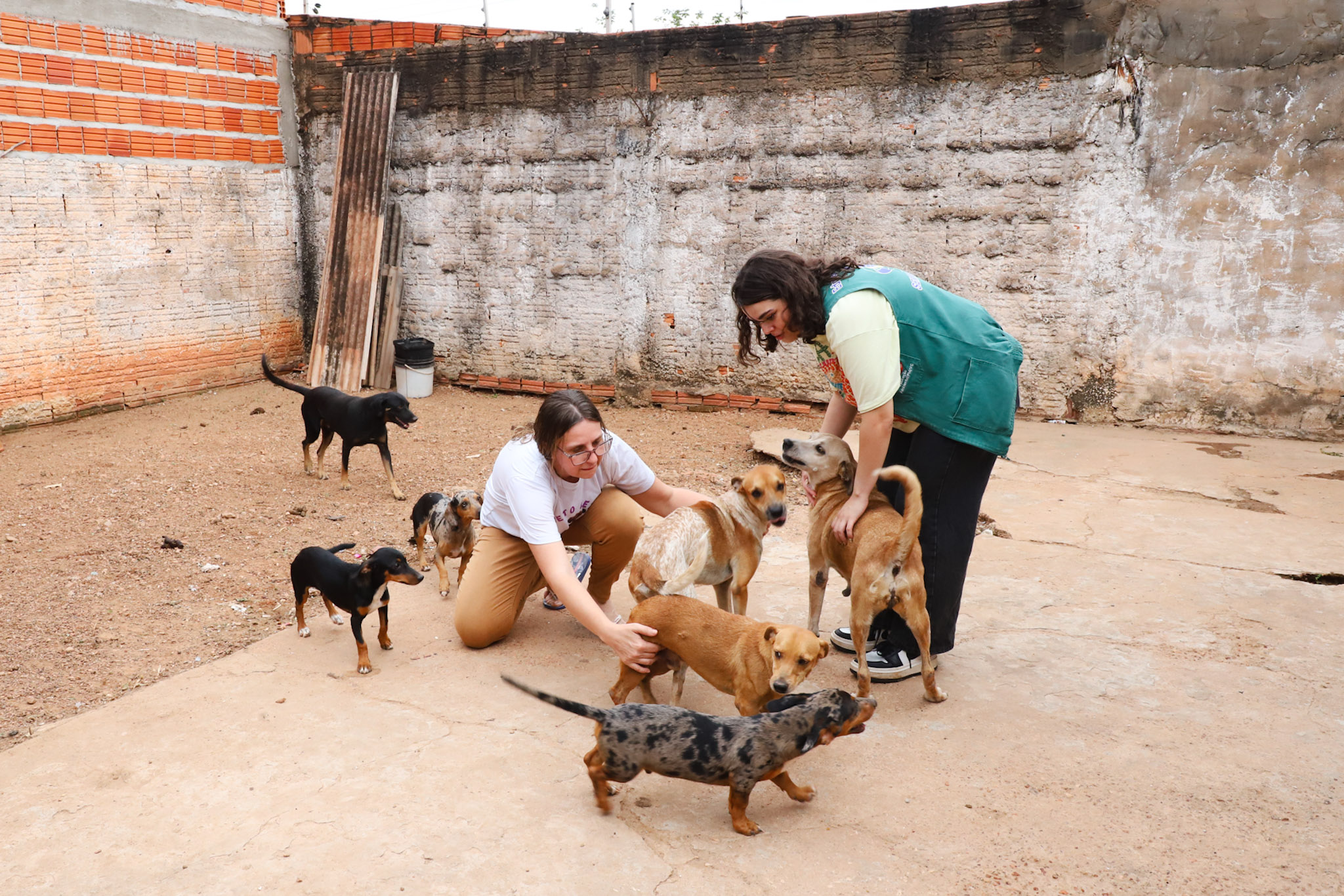 Matheus Guimarães Secom/Vg