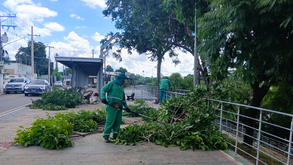 Prefeitura reforça poda de árvores durante período chuvoso em Várzea Grande