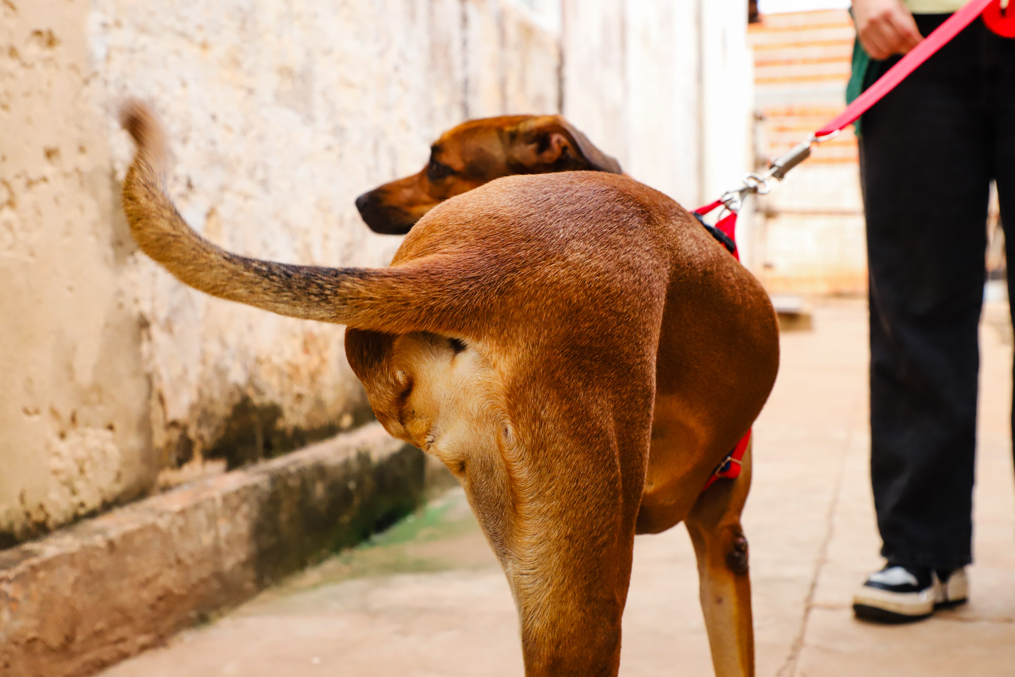 Matheus Guimarães Secom/Vg