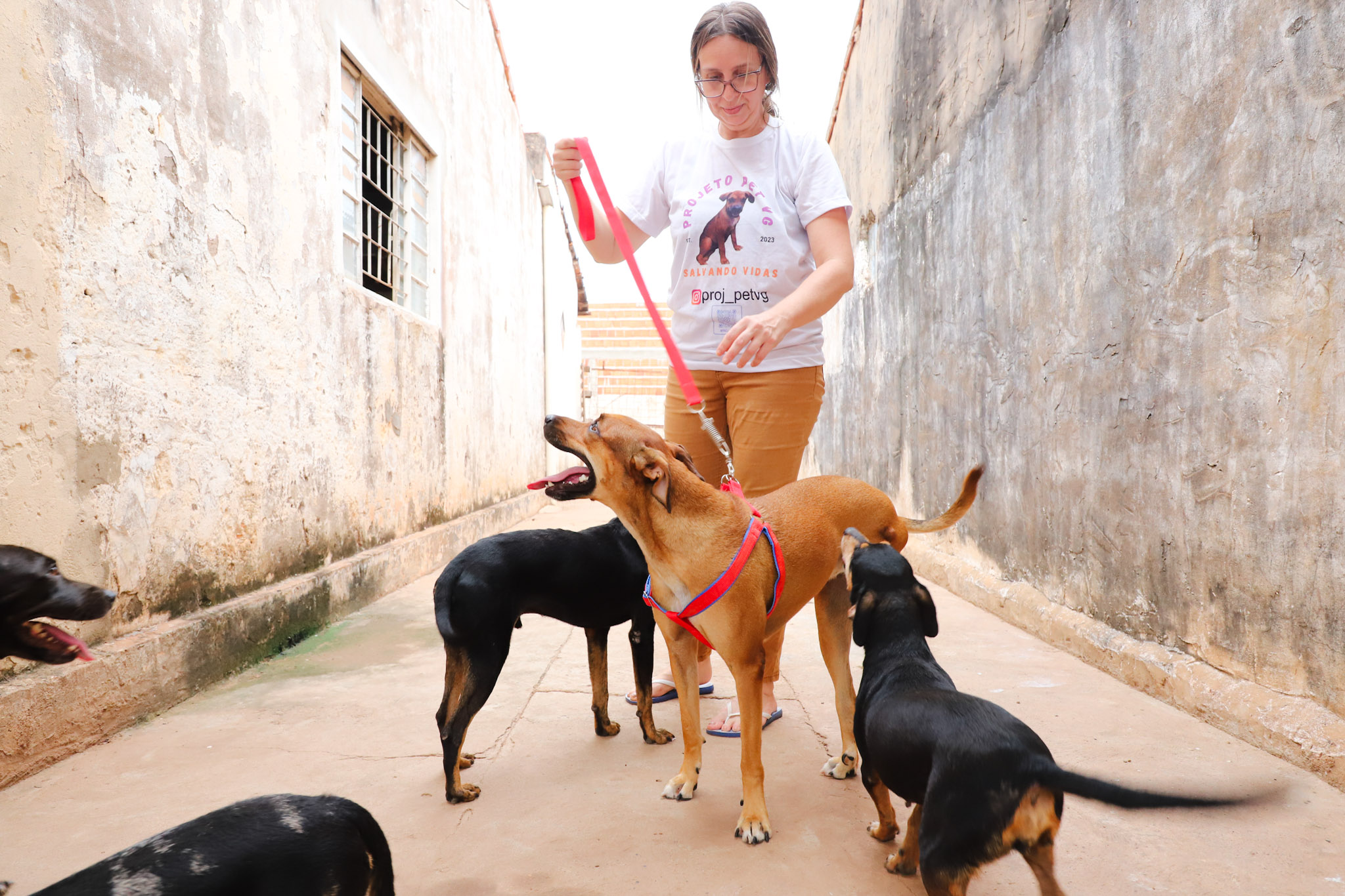 Matheus Guimarães Secom/Vg