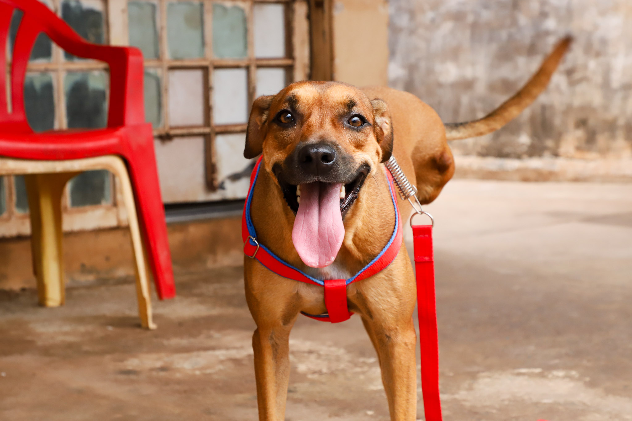 Matheus Guimarães Secom/Vg