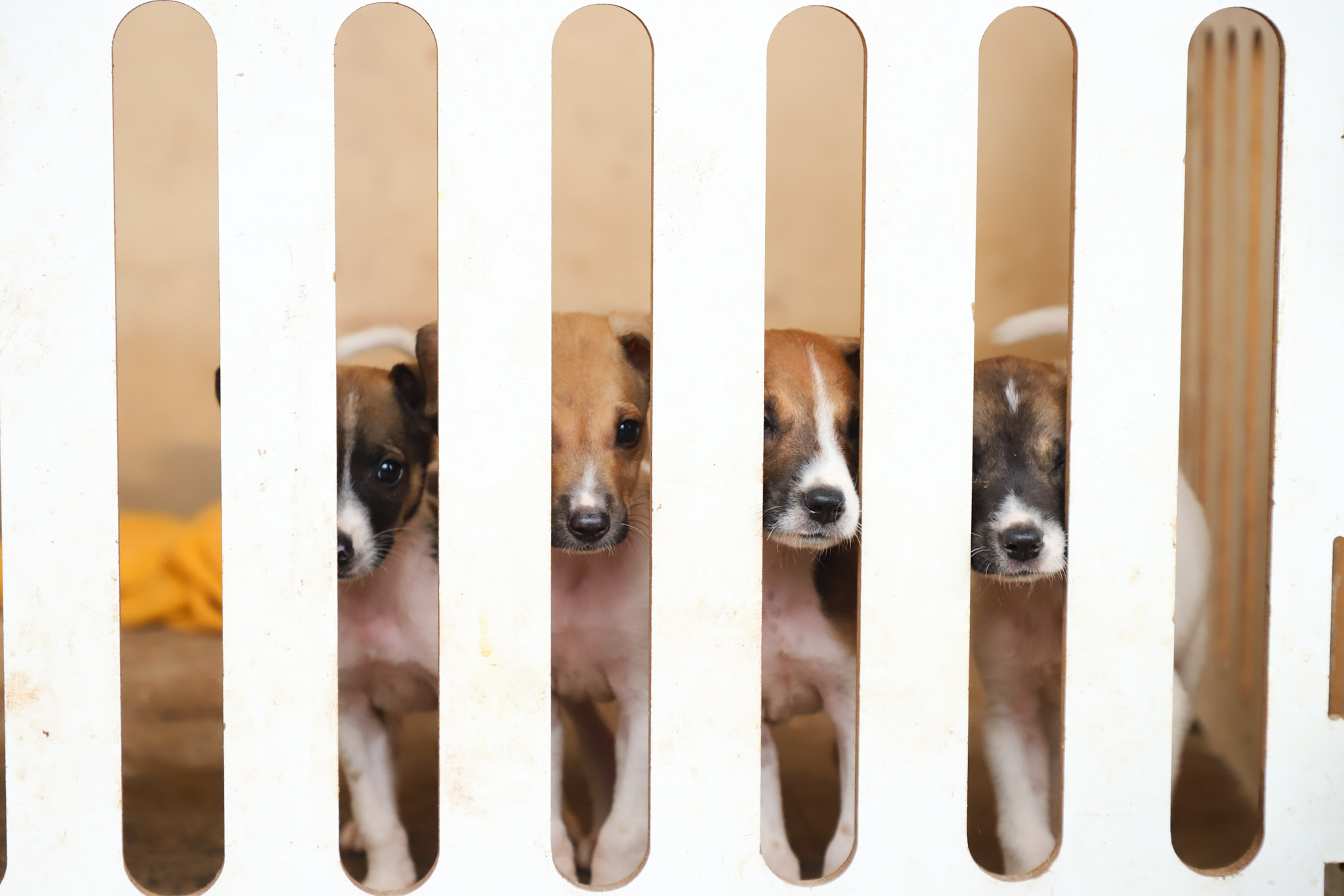 Matheus Guimarães Secom/Vg