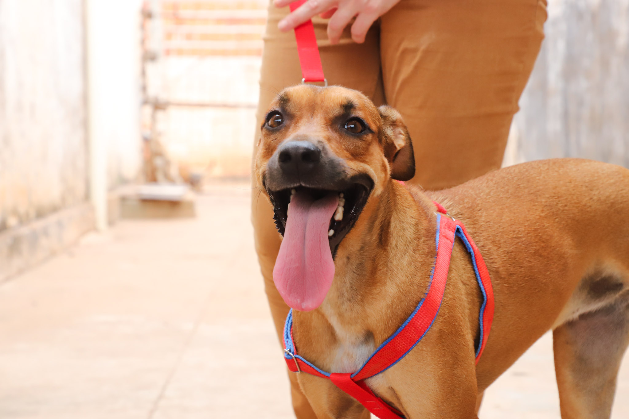 Matheus Guimarães Secom/Vg